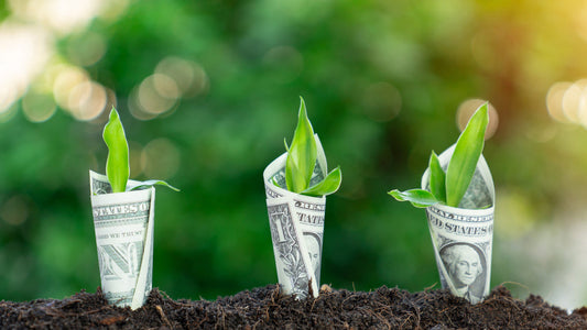Your Money Is Like a Houseplant — Here's How to Keep It Alive